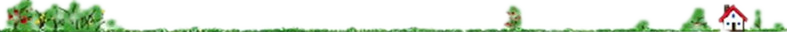 分割線(xiàn).png